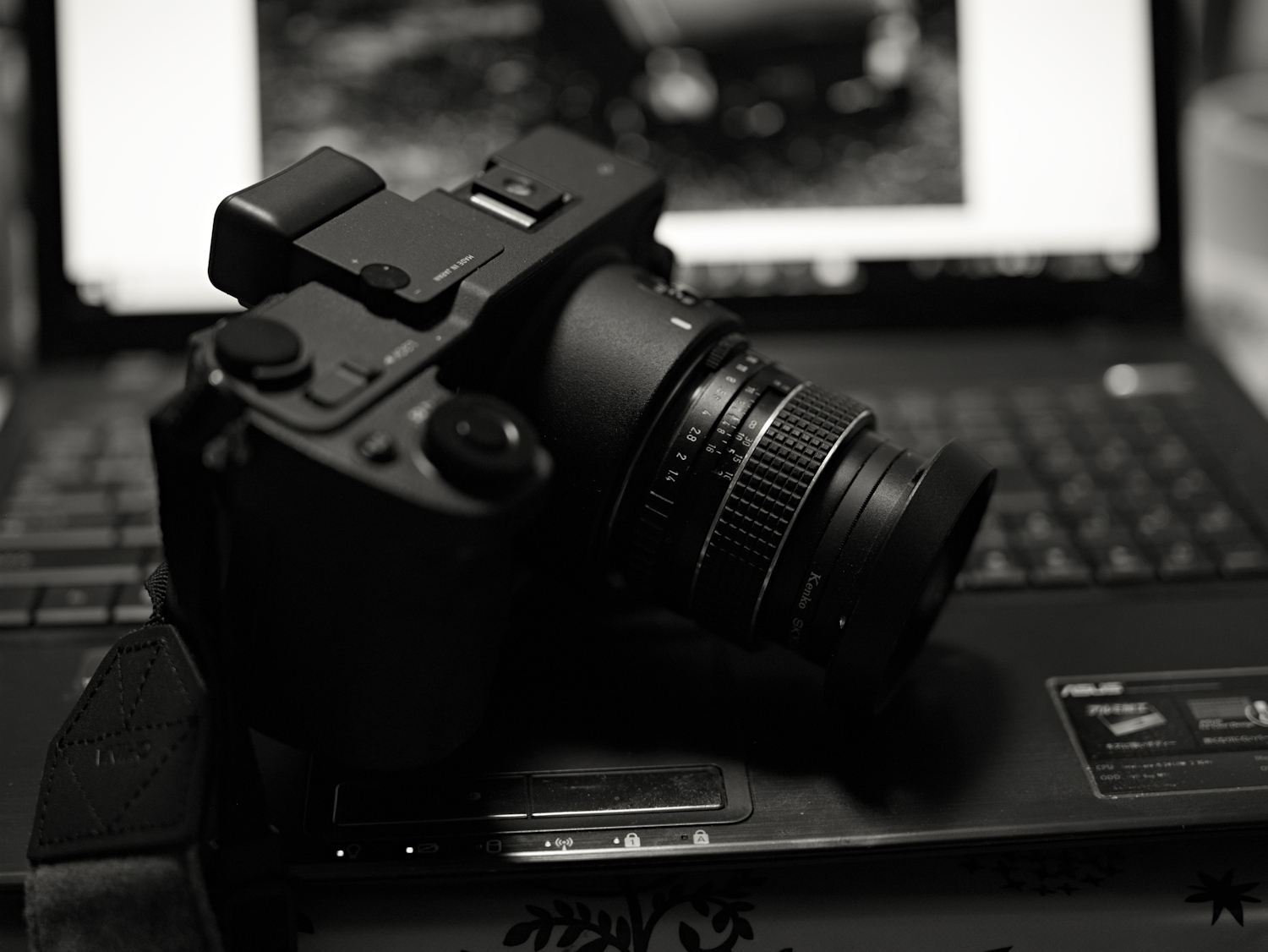 カメラ レンズ(単焦点) SMC TAKUMAR 50mm F1.4: 薔薇迷写真・放送部