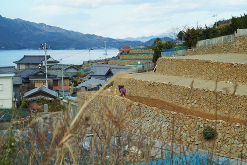 DSCF0024.jpg
