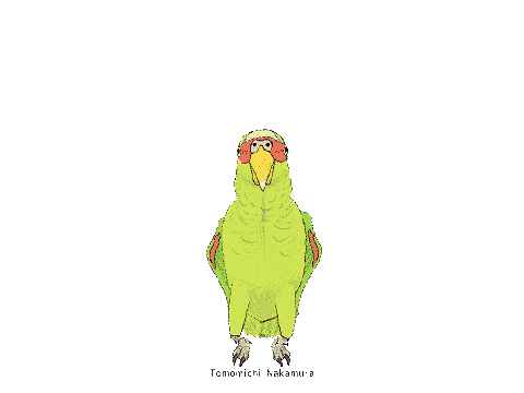 ǂ01_4.gif