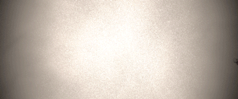 eXg02.gif