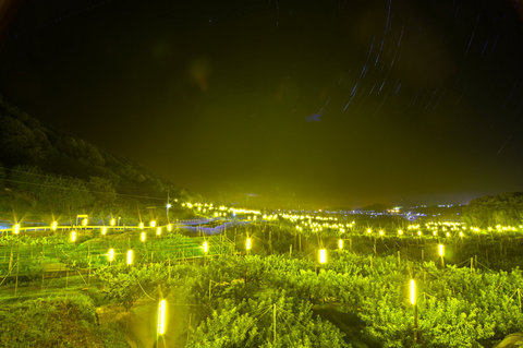 星空2.jpg
