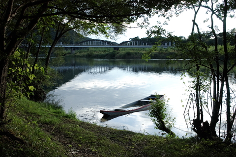 IMGP3461.jpg