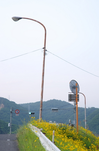IMGP5499.jpg