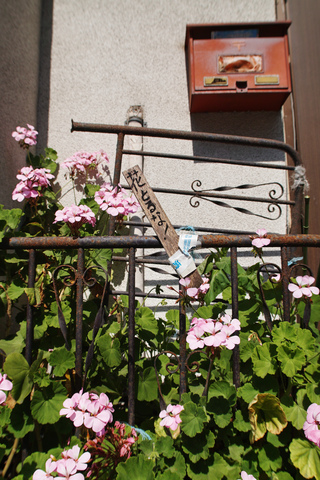 SDQH0355.jpg