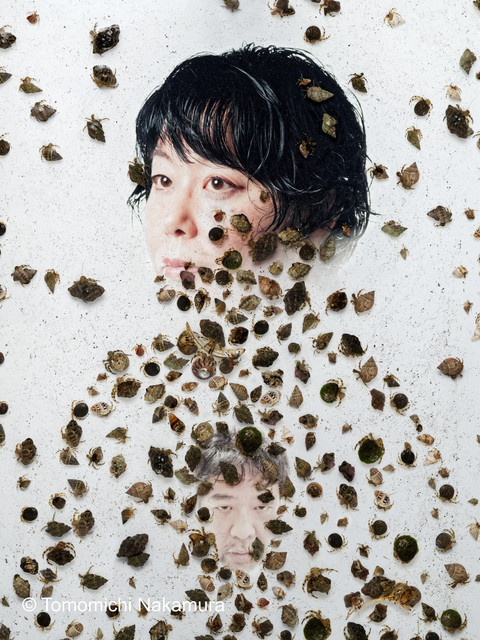 Tomomichi Nakamura_A home for the hermit crab 02_7500px__10000px_300dpi.jpg